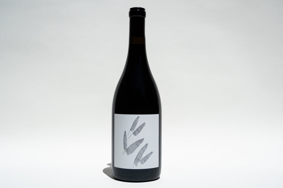 2024 Wirth Zinfandel – Broc Cellars