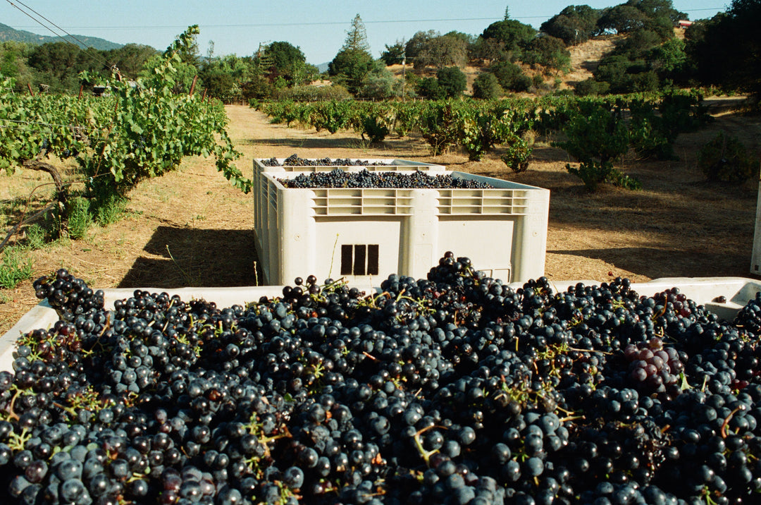 Wirth Ranch