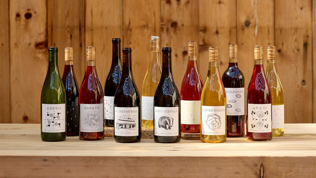 A wooden table displays a variety of wine bottles and glasses, each containing different red, white, and rosé wines. The setting is a cozy, rustic room with wooden walls and chairs.