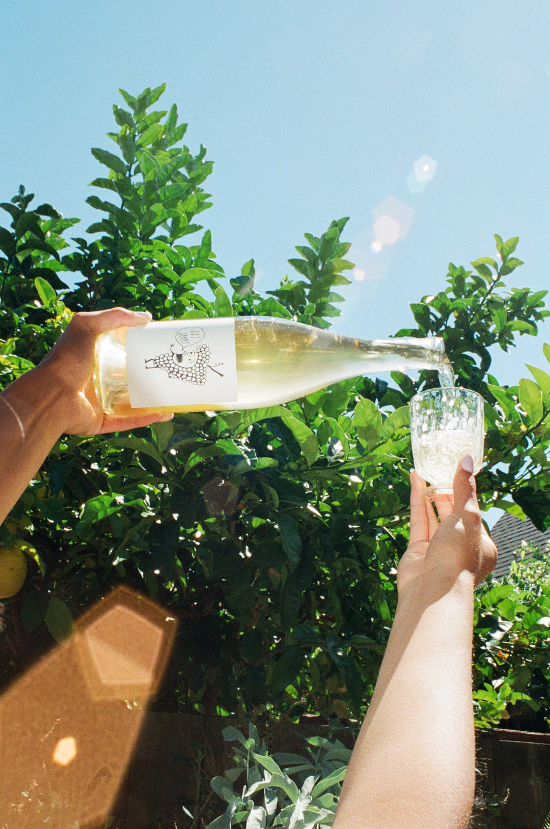 Someone pours 2025 Got Grapes White by Broc Cellars into a glass outdoors, surrounded by green foliage and sunlight.