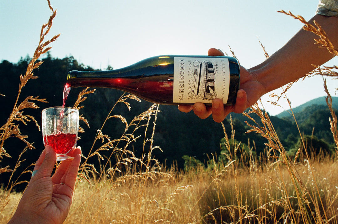 A hand pours 2023 Sangiovese from a Broc Cellars bottle into a glass held by another hand, surrounded by California terroir with tall dry grass and hills under a clear blue sky, embodying Fox Hill Vineyards essence.