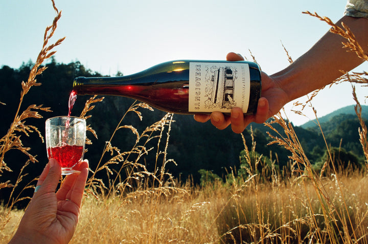 A hand pours 2023 Sangiovese from a Broc Cellars bottle into a glass held by another hand, surrounded by California terroir with tall dry grass and hills under a clear blue sky, embodying Fox Hill Vineyards essence.
