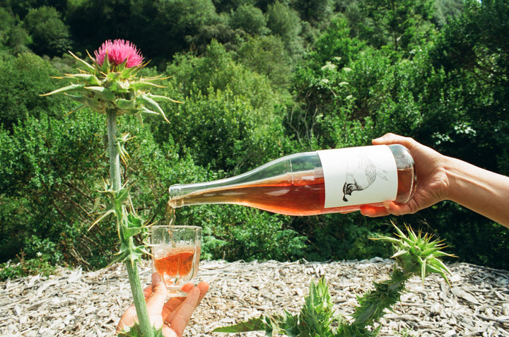 A person pours Broc Cellars 2023 Grenache Gris into a glass beside a blooming thistle outdoors, with green foliage in the background.