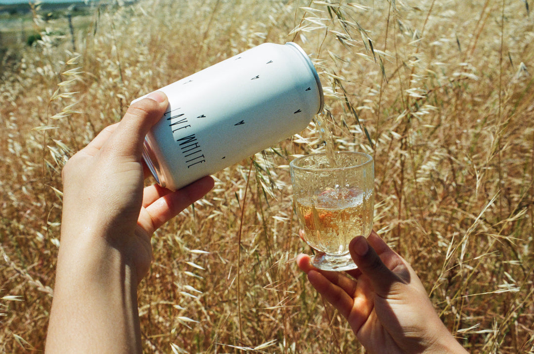 Someone pours a Broc Cellars Love White Can Pack, a fizzy California white wine made from organic grapes, into a small glass outdoors with tall, dry grass in the background.