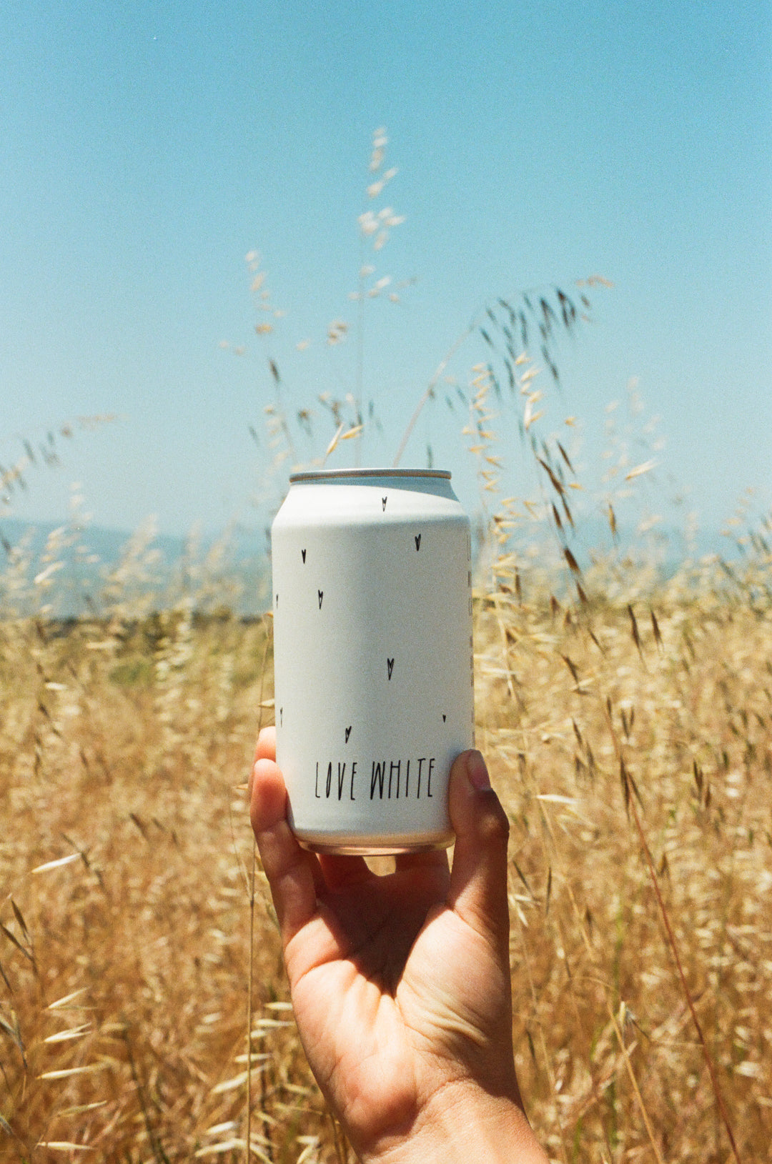 A hand holds a Broc Cellars Love White Can Pack—California white wine crafted from organically farmed grapes—in front of tall dry grass and a clear blue sky.
