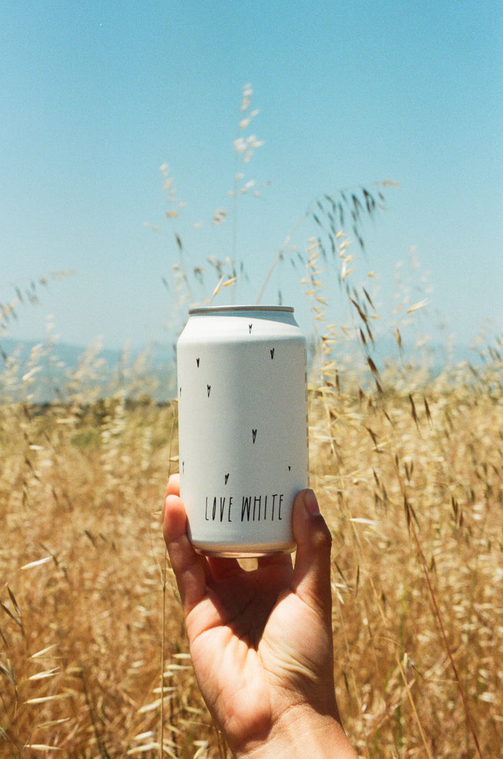 A hand holds a Broc Cellars Love White Can Pack—California white wine crafted from organically farmed grapes—in front of tall dry grass and a clear blue sky.