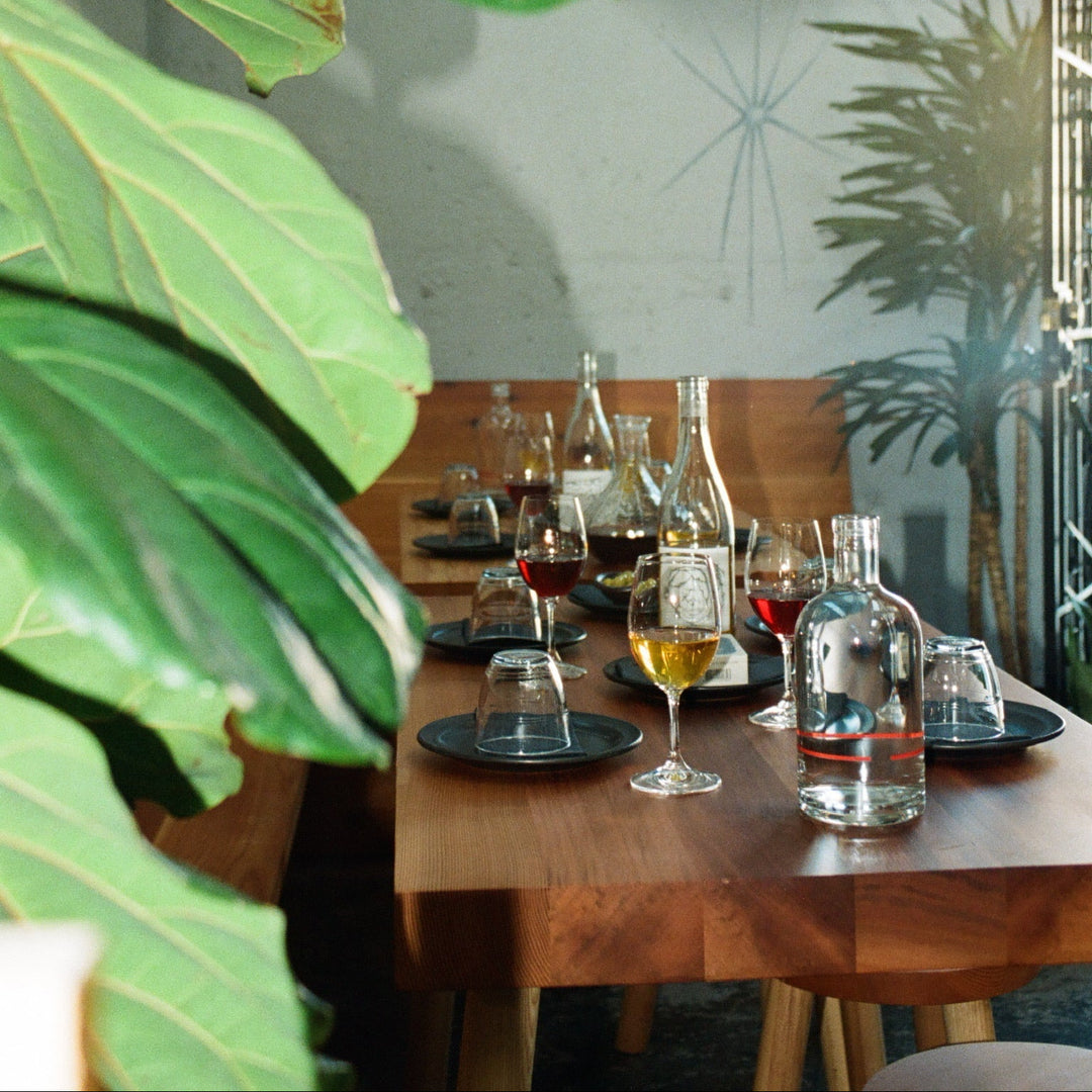 A wooden table set with empty plates, drinking glasses, wine glasses with red and white wine, and clear water bottles. Green plants surround the table, and sunlight filters in from the right.