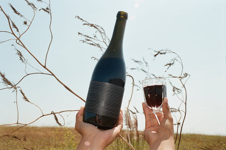 A hand holds a large bottle of 2019 Broc Valdiguié by Broc Cellars with a striped label, while another hand holds a glass of red wine. Dry plants and a clear sky appear in the background.