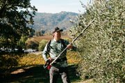 Wearing a cap and camouflage-patterned shirt, someone uses a long-handled trimmer to prune a tree outdoors with mountains and a parking lot in the background. Enjoying scenery reserved for members, its like savoring 2024 Olio Nuovo from Broc Cellars—membership has its perks!.