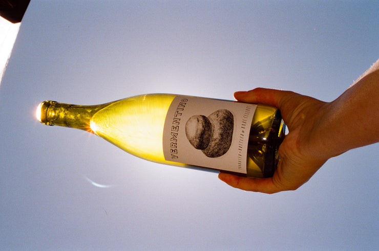 A hand holds a bottle of 2023 Fox Hill Vermentino from Broc Cellars against the clear blue sky, its label artistically depicting two rocks, while Mendocino sunlight bathes the glass in a warm glow.