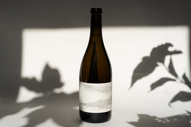 A 2016 PICPOUL LUNA MATTA VINEYARD wine bottle by Broc Cellars with a minimalist label rests on a surface, casting shadows alongside leaf silhouettes in the softly lit background, evoking a tranquil evening in Paso Robles.