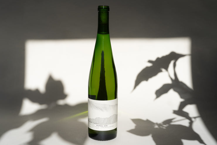 A green wine bottle from Broc Cellars with a minimalistic white label stands upright, casting leaf shadows on the background. The label reads 2018 Picpoul Luna Matta Vineyard. Soft lighting highlights the bottle against a muted backdrop, hinting at its Paso Robles origin.