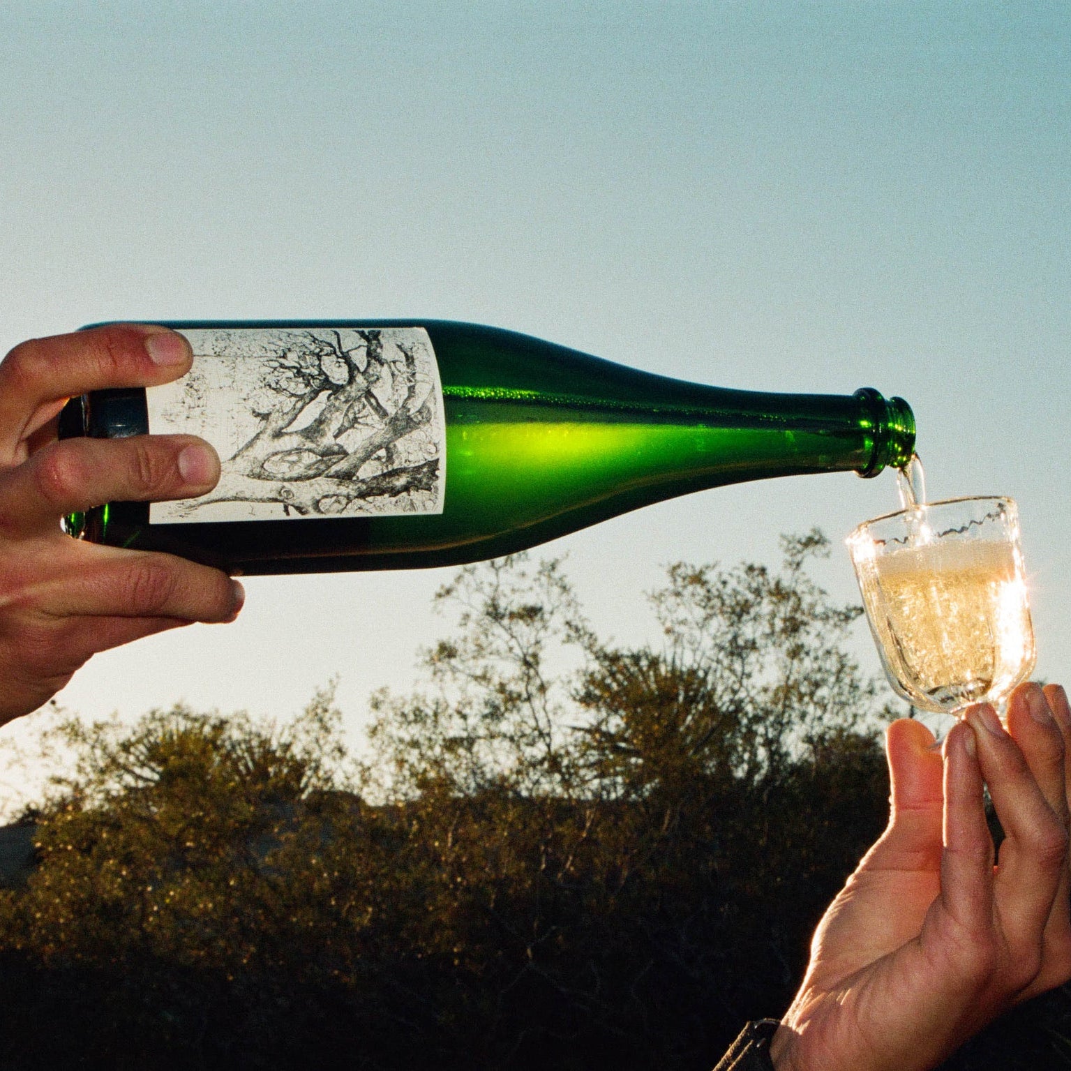 A green glass bottle with a black and white label is being held by two hands, pouring a bubbly golden liquid into a clear glass, set against an outdoor background with trees and a blue sky.