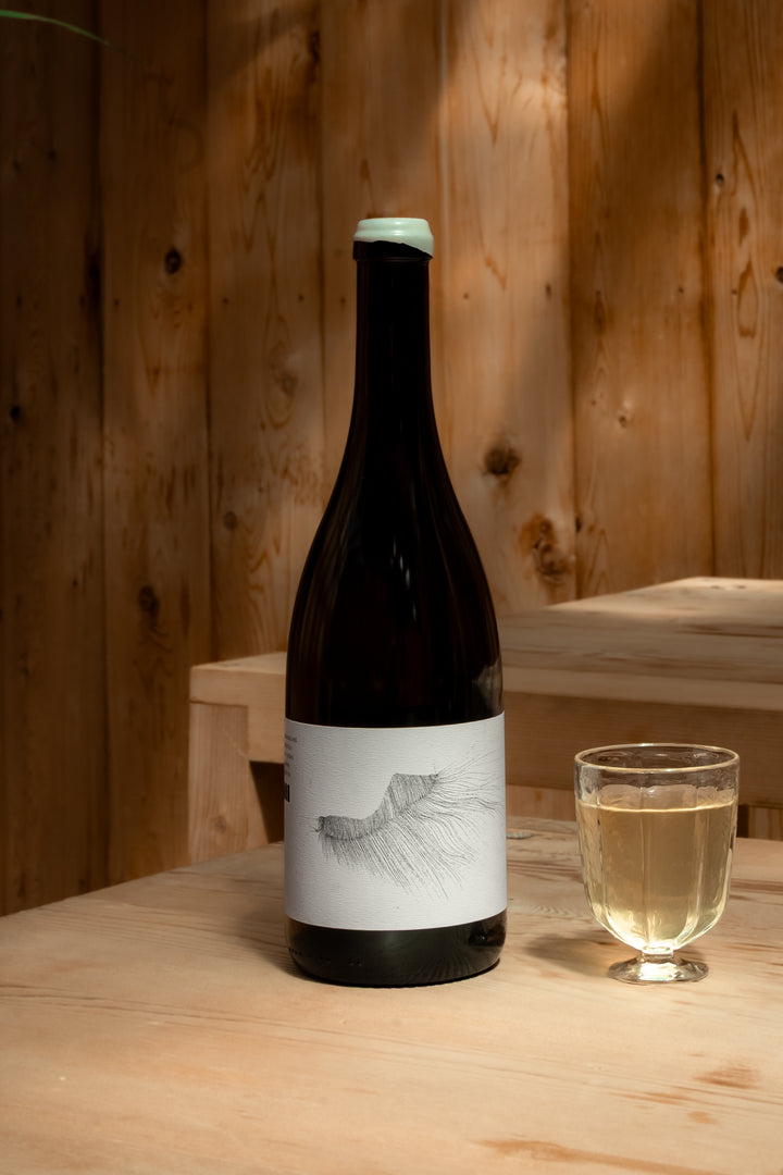 A dark bottle of Broc Cellars 2016 MICHAEL MARA CHARDONNAY with a white minimalist label sits on a light wood table beside a glass of pale yellow wine; wooden paneling forms the backdrop.