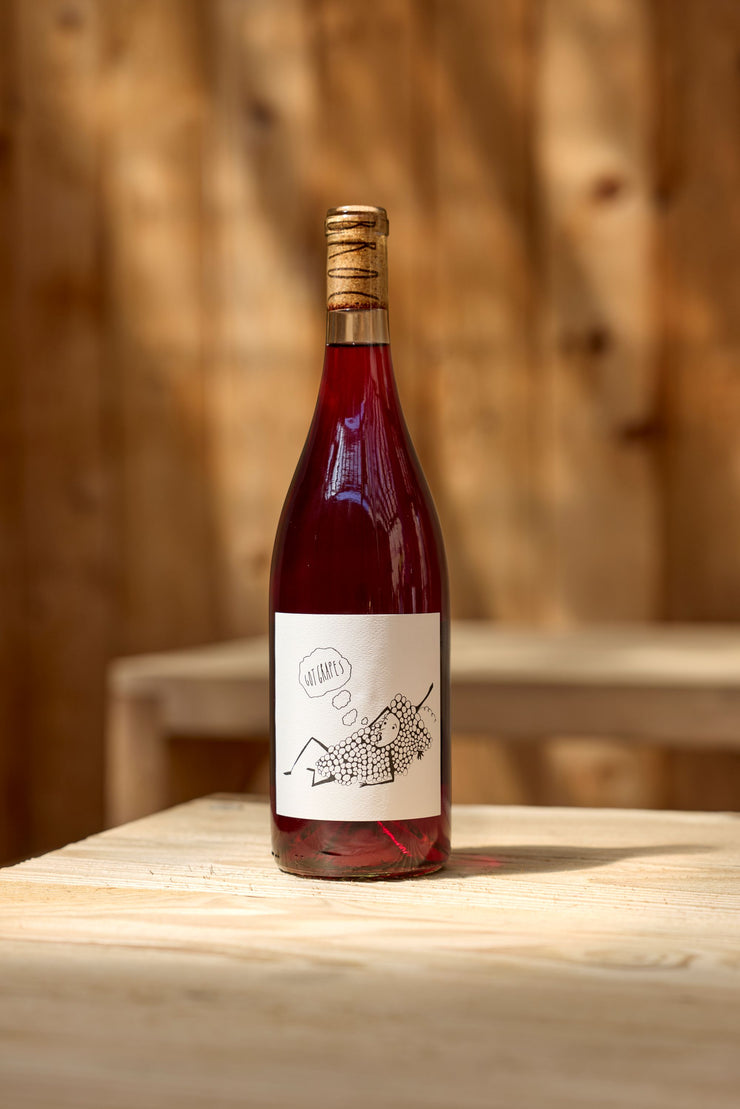 2023 Got Grapes Red | Broc Cellars California Chillable Red