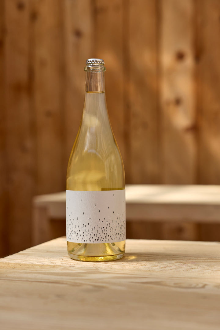 A clear bottle of 2025 Love Sparkling Chenin by Broc Cellars, with a white label featuring small black dots, sits on a light wooden table; the pale yellow wine is set against a blurred wooden wall in the background.