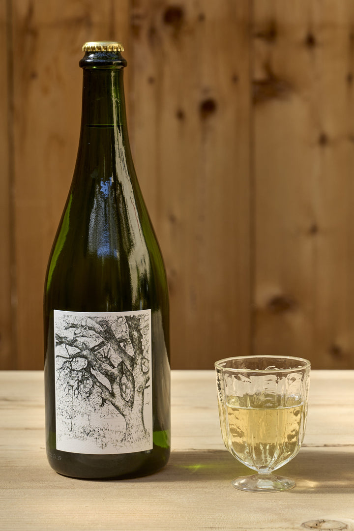 A bottle of Broc Cellars 2025 Sparkling Erbaluce with a sketch of a tree on the label, next to a glass of pale yellow wine on a wooden surface.