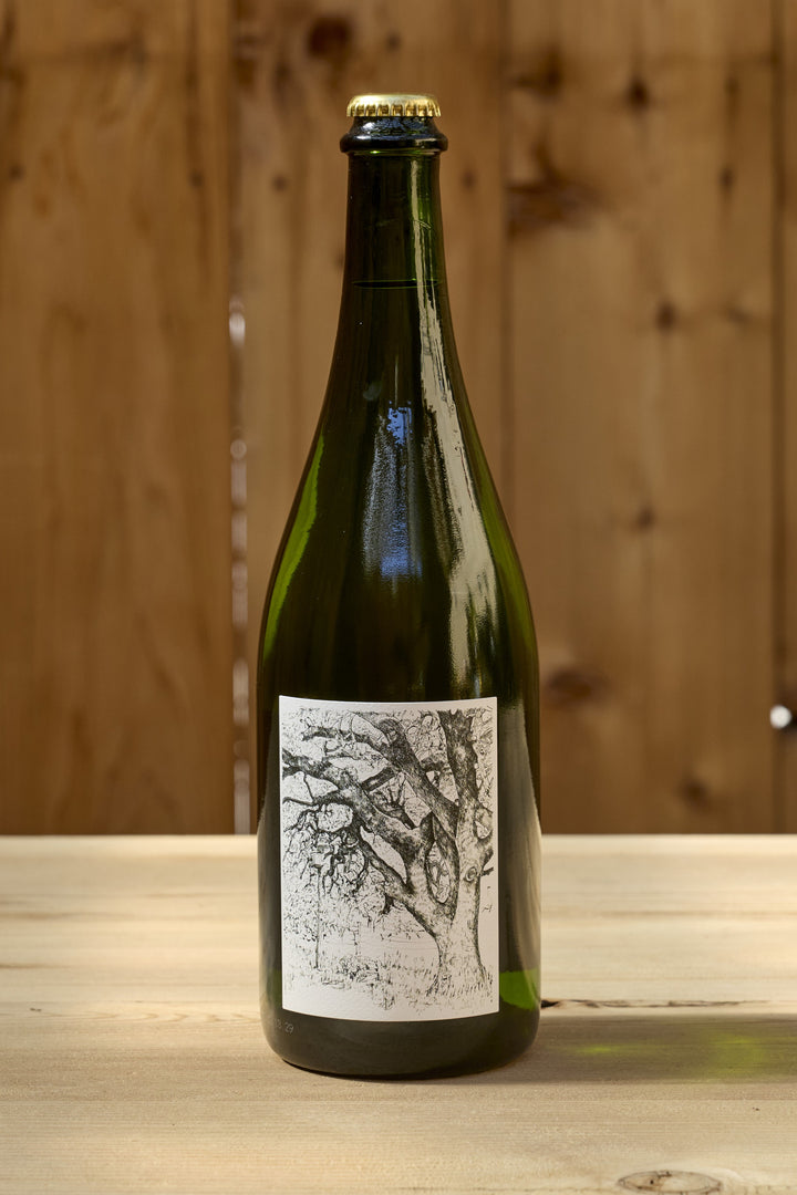 A bottle of Broc Cellars 2025 Sparkling Erbaluce with a gold cap and a white label featuring a black-and-white ink drawing of a large tree.