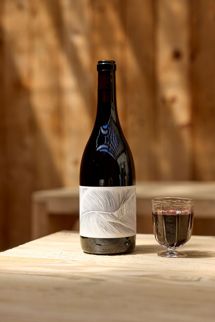 2023 Vine Starr Zinfandel