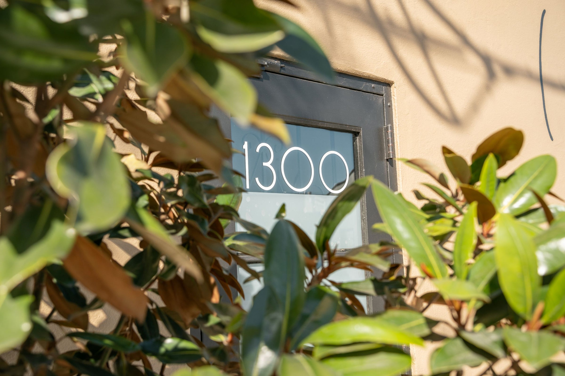 A glass door with the number 1300 written in white is partially obscured by green leafy branches in the foreground. The background is a beige wall.