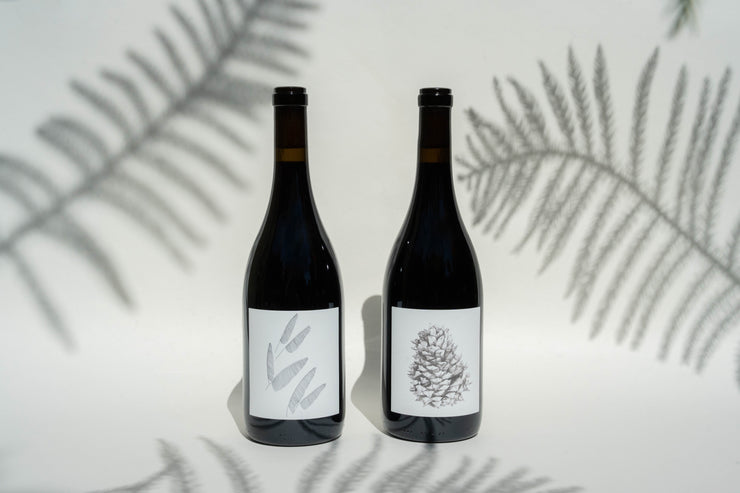 Two Broc Cellars bottles from the Lagrein & Wirth Zinfandel Duo, with white labels and leaf illustrations, rest against a white backdrop. Fern leaf shadows form an artistic pattern around them, enhancing the elegance of holiday dishes alongside rich Zinfandel tones.