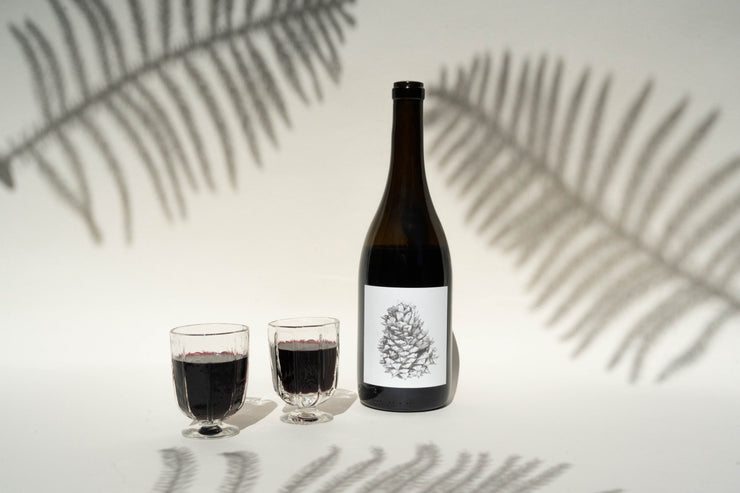 A bottle of Broc Cellars 2023 Lagrein with a pine cone design label is paired with two full wine glasses, casting fern-like shadows on a neutral background, ideal for gift box presentation.