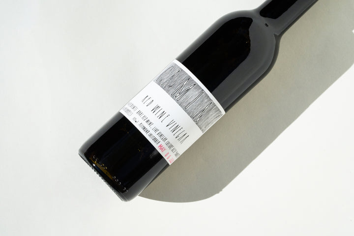 A dark glass bottle of CAMINO RED WINE VINEGAR from Broc Cellars rests sideways on a light backdrop. The label displays Red Wine Vinegar with additional small text, casting a gentle shadow and showcasing the artistry of organic crafting.