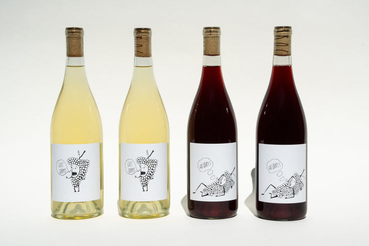 Four bottles from the Broc Cellars Got Grapes 4-Pack are shown against a white backdrop. Two have white wine and two red, with labels displaying grape illustrations and GO NATY speech bubbles, highlighting the vibrant wines made from organically grown grapes.