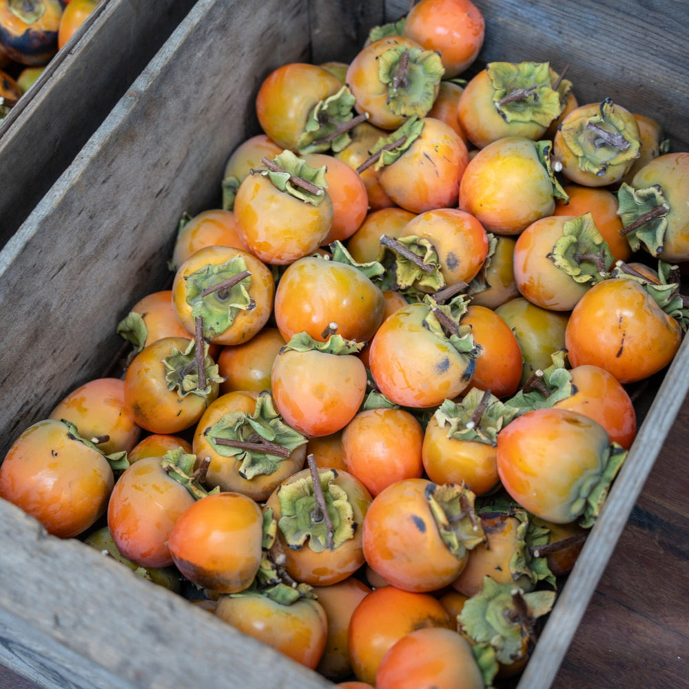 A wooden crate of orange persimmons, some with spots, sits beside another crate—ideal for making Broc Cellars June Taylor Persimmon Butter.