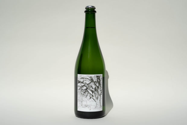 Displayed against a light background is a green glass bottle with a silver cap, adorned with Broc Cellars 2024 Sparkling Erbaluce label in black and white featuring a tree, hinting at what’s coming soon.