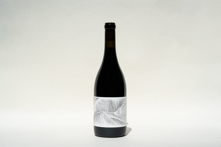 A bottle of 2023 Vine Starr Zinfandel from Broc Cellars, with a black cap, sits against a white background. The label displays a minimalist black and white abstract leaf design, subtly suggesting the rich flavors within.