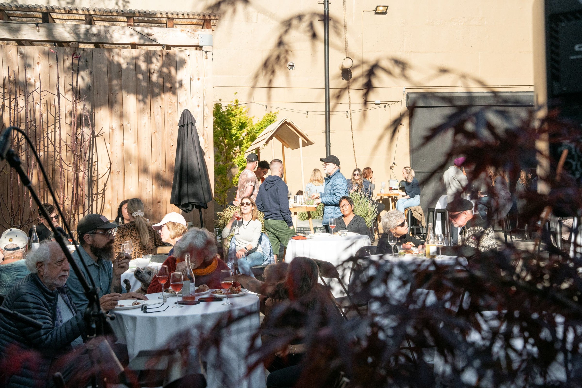 People sit at round tables outdoors, eating and drinking in a sunny courtyard. Some are talking while others observe their surroundings. Sunlight and shadows create a relaxed atmosphere. There are trees and a wooden wall in the background.