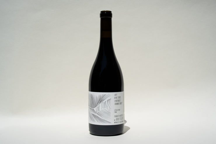 A dark wine bottle from Broc Cellars with a minimalistic white label adorned with a line drawing of leaves and text. The product is 2023 Vine Starr Zinfandel, set against a plain, evenly lit backdrop with subtle shadows encircling the bottle.