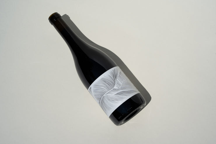 A bottle of 2023 Vine Starr Zinfandel from Broc Cellars rests on its side against a light background. The dark glass and the label featuring abstract white lines stand out, with shadows cast by the bottle dancing on the surface.