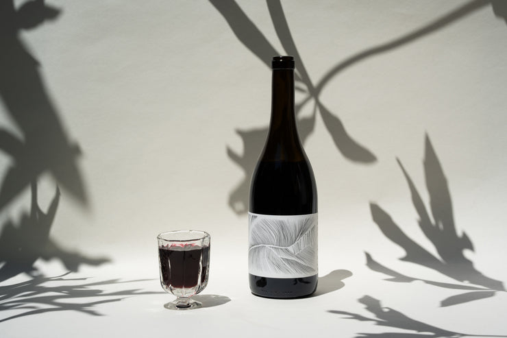 A bottle of 2023 Vine Starr Zinfandel by Broc Cellars with a modern white and gray label stands next to a glass filled with red wine, all set against a light background with dramatic plant shadows, exuding elegance.