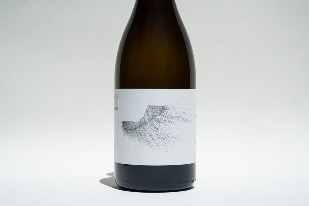 The 2022 Michael Mara Chardonnay by Broc Cellars from Sonoma Coast boasts a minimalist label with an abstract black-and-white eyelash-like design, standing elegantly against a plain white background.
