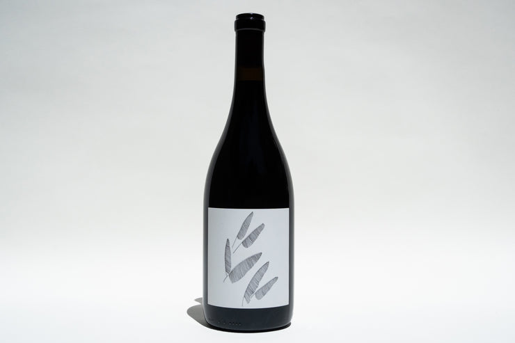 The 2023 Wirth Zinfandel by Broc Cellars features a dark wine bottle with a minimalist label showcasing three black abstract leaf shapes on white. Download the tech sheet to discover its unique qualities. The bottles elegant design stands out against a plain, light background.