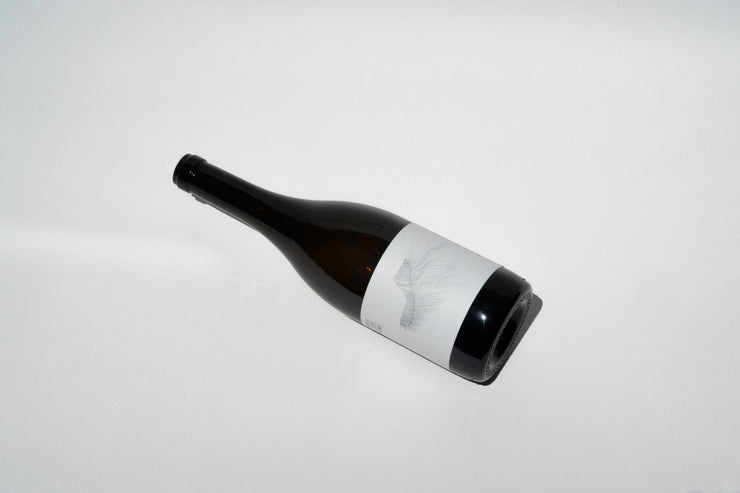 A dark glass wine bottle from Broc Cellars rests on its side against a white backdrop. The 2023 Michael Mara Chardonnay offers a minimalist white label, reflecting its California origins and the distinctive notes of Sonoma Coast AVA.