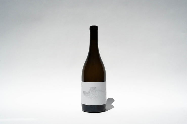 A tall, dark wine bottle with a minimalist label sits against a white background. Featuring a subtle feather design, this 2023 Michael Mara Chardonnay from Broc Cellars is centered and casts a soft shadow on the surface, inviting thoughts of the rich flavors found in Sonoma Coast AVA.