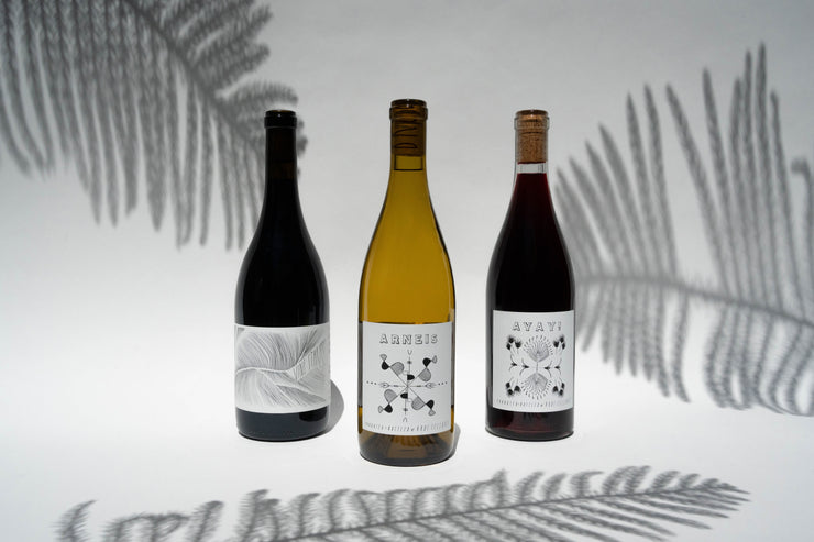 On a white surface with fern shadows, three Mystic Broc bottles from Broc Cellars stand, each with unique labels: a leaf on the left, an Amore Blendo co-ferment pattern in the center, and floral motifs on the right. Each bottle contains a different colored wine.