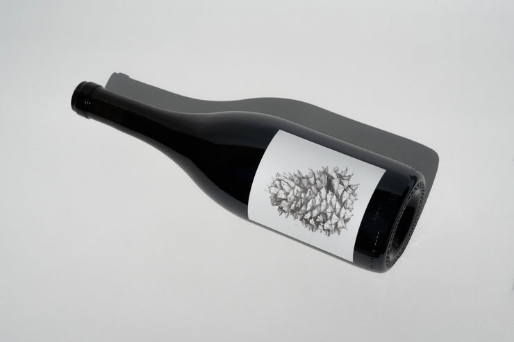 A 2023 Lagrein Red bottle from Broc Cellars, with a white label and pine cone illustration, lies on its side against a light gray background casting a soft shadow rightward, capturing the alpine wine essence.