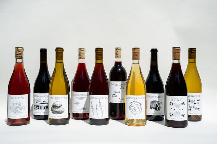 Ten bottles from the Fox Hill Collection by Broc Cellars are arranged in a semi-circle on a plain background. Each features a unique artistic label, with colors ranging from red to yellow, showcasing a diverse selection of Italian wines.