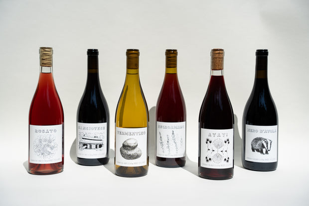 Six wine bottles from the Fox Hill 6-Pack by Broc Cellars are displayed in a row against a light background. Each bottle showcases distinct labels with unique illustrations and designs, offering Italian table wines ranging in color from deep red to light rosé.