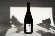 A dark wine bottle of Broc Cellars 2015 Old Vine Carignan sits on a white background, casting leaf-like shadows. The back label with text and barcode is visible, and the lighting highlights its whole cluster fermentation technique for Carignan plants.