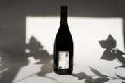 A bottle labeled 2016 Old Vine Carignan from Broc Cellars stands against a backdrop, evoking its ancient vineyard origins. Shadows of leaves create patterns around the bottle, enhancing its artistic and minimalist composition.