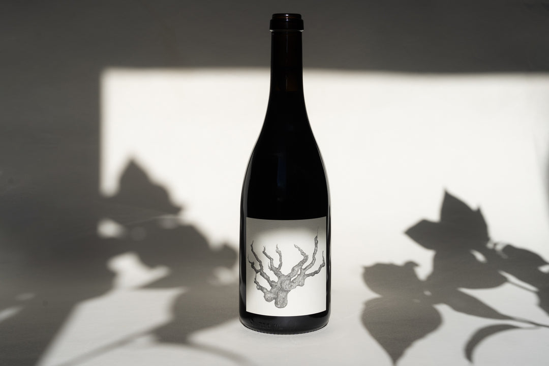 A dark bottle of Broc Cellars’ 2018 OLD VINE CARIGNAN stands upright, its white label adorned with a black illustration of gnarled roots. The bottle casts a distinct shadow on a pale surface dappled with leafy patterns, embodying an elegant library release crafted from ancient vines and honoring the distinguished 2018 vintage.