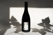 The 2014 OLD VINE CARIGNAN from Broc Cellars, rooted in the heritage of ancient vineyards, stands against a light source, casting its shadow on a white surface. Leaf shadows from a nearby plant enhance the scenes allure.