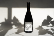 A 2013 OLD VINE CARIGNAN wine by Broc Cellars, featuring gnarled tree roots on its label and a dark neck, is set against a shadowed backdrop reminiscent of an ancient vineyard, with plant shadows adding depth to the scene.