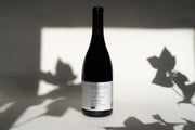 A Broc Cellars 2014 NERO D’ AVOLA bottle with a minimalist label stands on a light surface, where leaf shadows evoke Mendocinos serene beauty. The lighting highlights the Fox Hill Vineyard bottle and creates an artistic interplay of light and shadow.