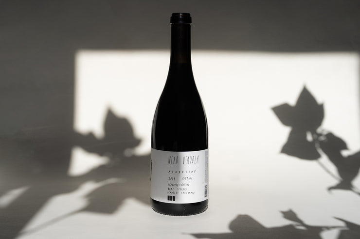 A Broc Cellars 2014 NERO D’ AVOLA bottle with a minimalist label stands on a light surface, where leaf shadows evoke Mendocinos serene beauty. The lighting highlights the Fox Hill Vineyard bottle and creates an artistic interplay of light and shadow.